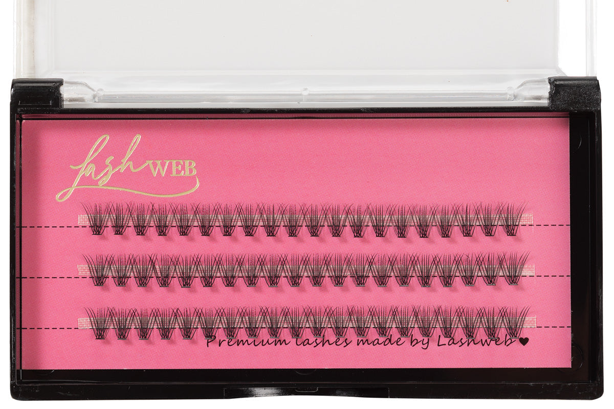 LashWeb 10D ripsmetutikud 12mm